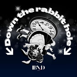 IBN.D的logo